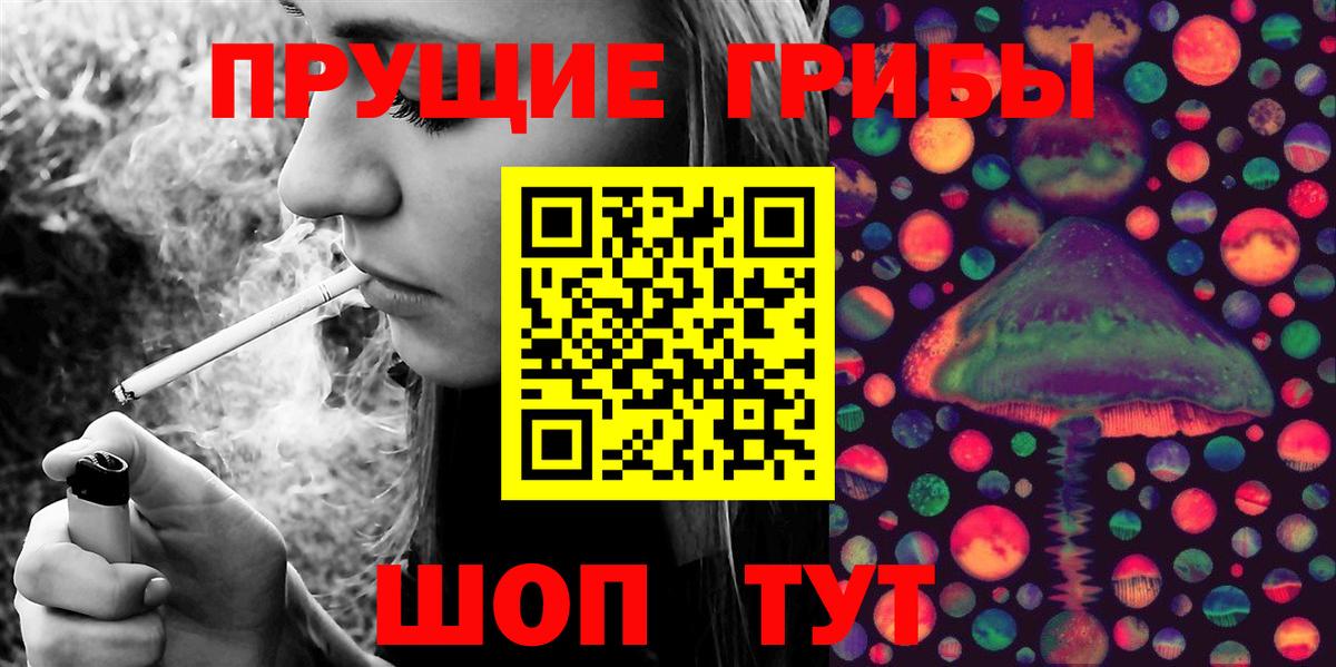 Псилоцибиновые грибы мицелий Касимов