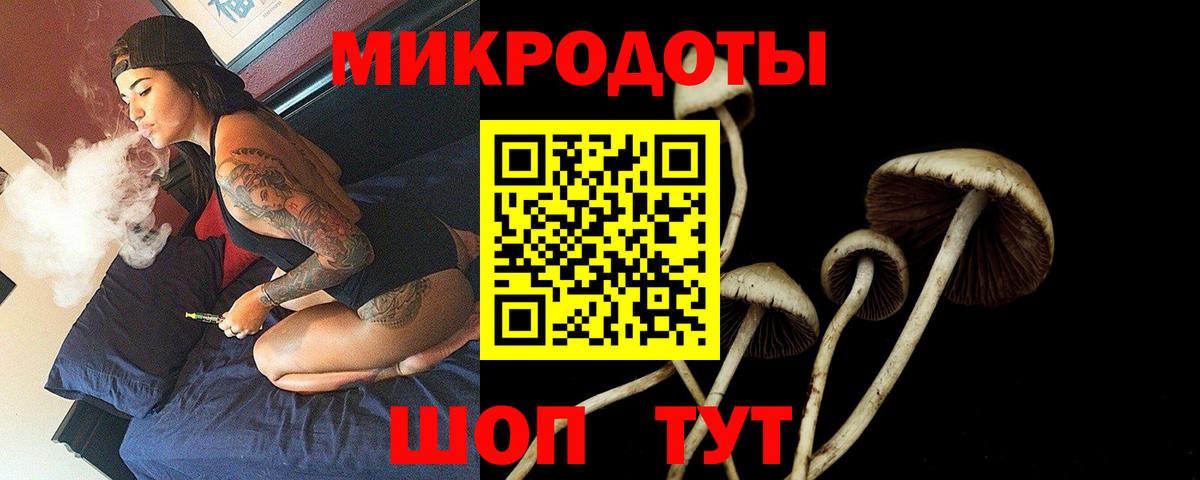 Псилоцибиновые грибы мицелий  Вход с VPN  Галлюциногенные грибы ЛСД  Касимов 